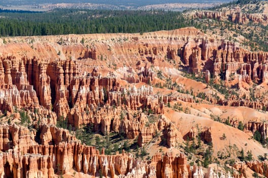 Bryce Canyon National Park in Utah in the United States of America
