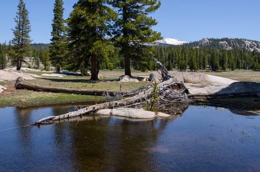 lake with reflections in Yosemite National Park in California