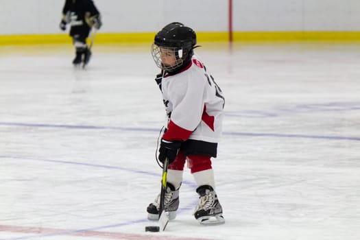 Little boy playing ice hockey