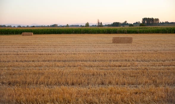 Field after harvest in Spain