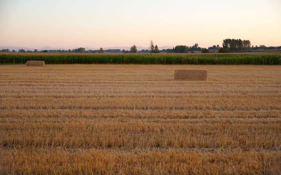 Field after harvest in Spain