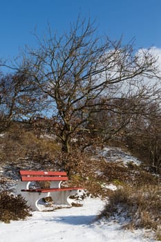 Spiekeroog in winter