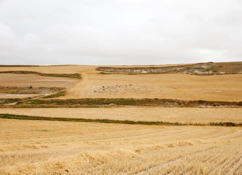 View of spanish countryside