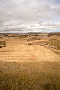 Road in the spanish countryside, way of st. James