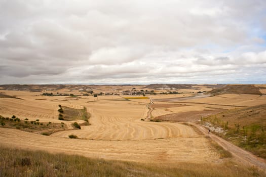 Road in the spanish countryside, way of st. James