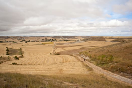 Road in the spanish countryside, way of st. James