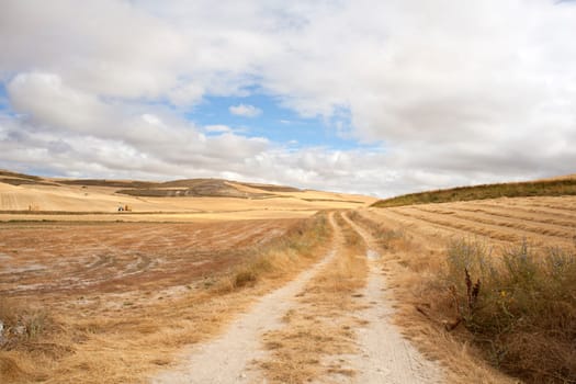 Road in the spanish countryside, way of st. James