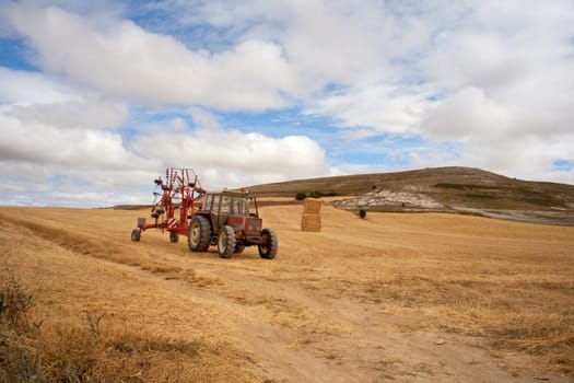 Tractor in a cornfield, spanish countryside