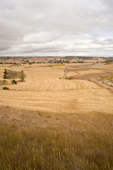Road in the spanish countryside, way of st. James