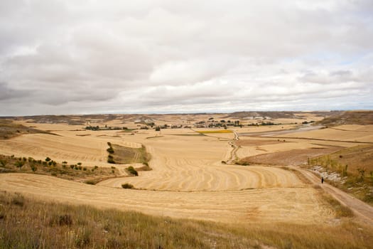 Road in the spanish countryside, way of st. James