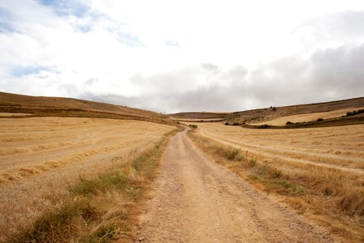 Road in the spanish countryside, way of st. James