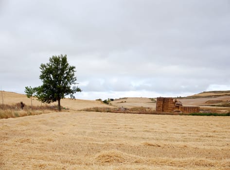 Bales of hay, spanish countryside