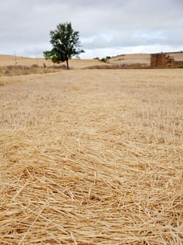 Bales of hay, spanish countryside