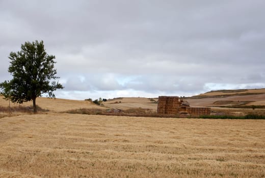 Bales of hay, spanish countryside