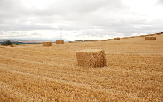 Bales of hay, spanish countryside