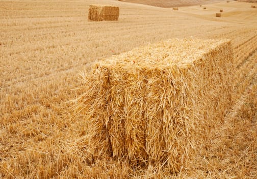 Bales of hay, spanish countryside