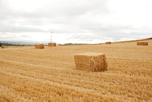 Bales of hay, spanish countryside