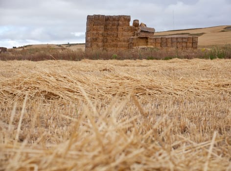 Bales of hay, spanish countryside