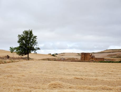 Bales of hay, spanish countryside