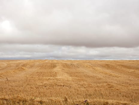 View of spanish countryside