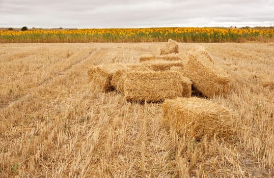 Bales of hay, spanish countryside