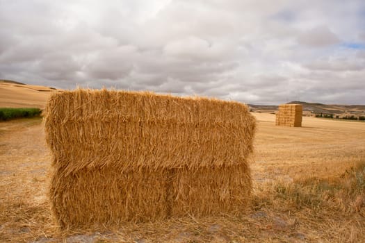 Bales of hay, spanish countryside