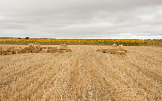 Bales of hay, spanish countryside
