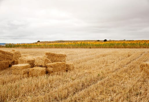 Bales of hay, spanish countryside