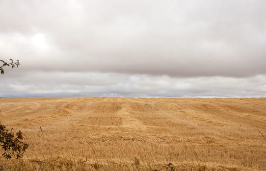 View of spanish countryside