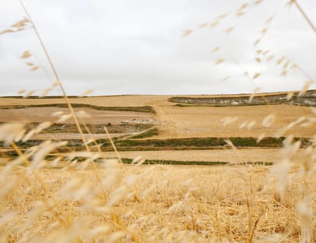 View of spanish countryside