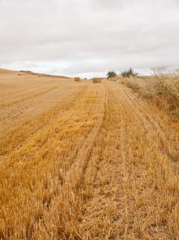 View of spanish countryside