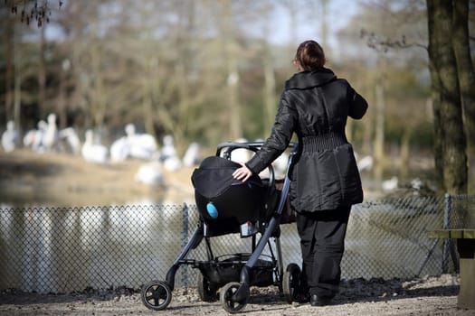 Details of a mother who is walking her baby in a zoo. They watch animals in captivity.