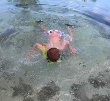 Snorkeling boy in a turqoise lagoon, seen from above