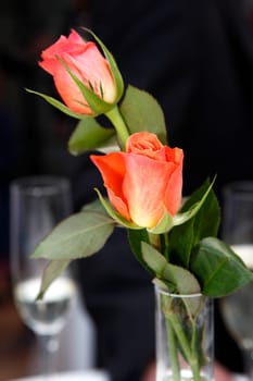 Roses