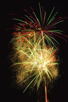 Multiple fireworks exploding in the night's sky