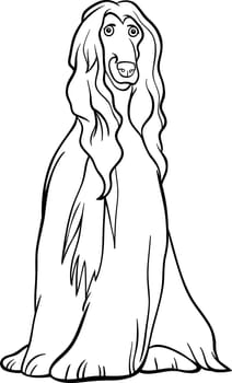 Black and White Cartoon Illustration of Cute Afghan Hound Purebred Dog for Coloring Book