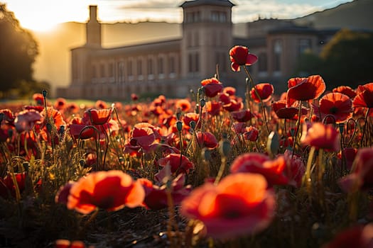 some red flowers in front of a building with the sun shining through the clouds and buildings on the other side