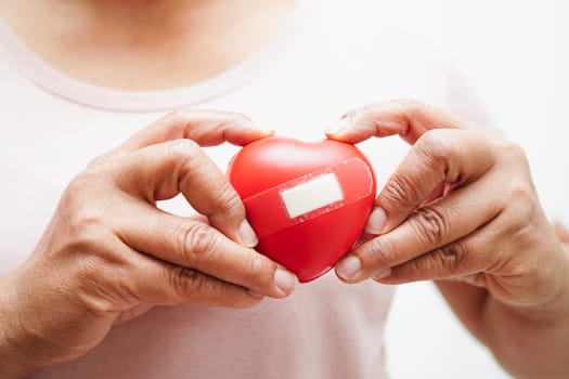 Asian woman holding human internal organ model, donation charity volunteer concept. 