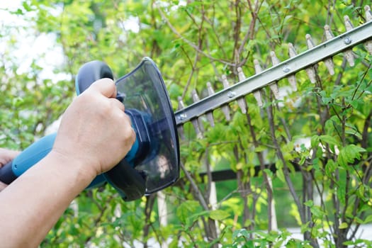 Gardener trimming bush by electric hedge clippers in garden. Hobby at home.