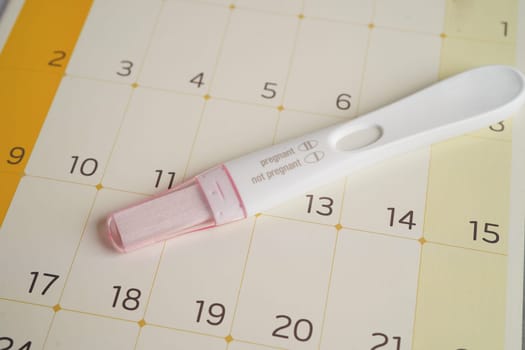 Pregnancy test for female of ovulation day, fetus, maternity, childbirth, birth control.