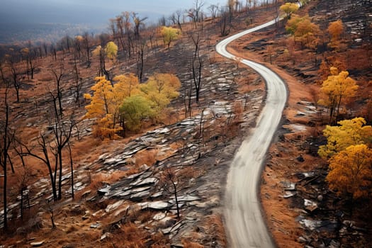 a winding road in the mountains with trees and rocks on both sides, surrounded by burnt orange colored foliages