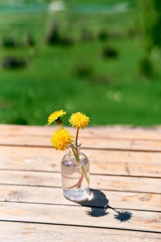 Yellow dandelions stand in a glass bottle on a wooden table in a green garden. High quality photo