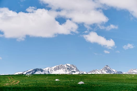 Bright green plain against the backdrop of snow-capped mountains. High quality photo