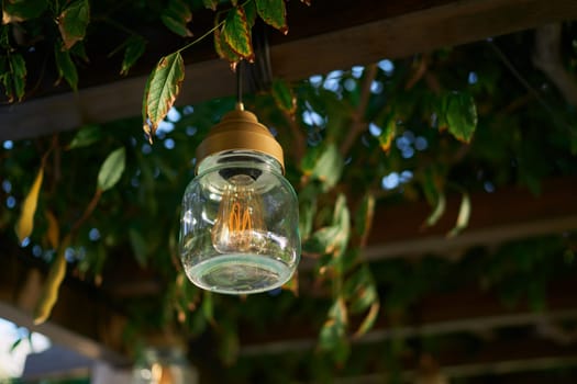 Lamp in a jar hangs on a wooden beam of a pergola entwined with green branches in the garden. High quality photo