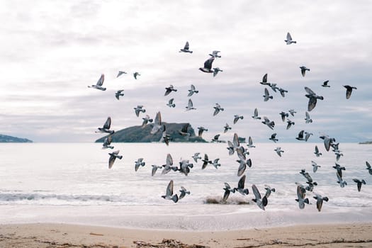 Flock of pigeons flies over the beach against the backdrop of mountains. High quality photo