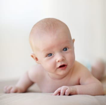 Newborn, baby and portrait on stomach bed in home for healthy childhood development, growth or learning. Infant, kid and face on belly curious interest or search environment, safety or discovery.