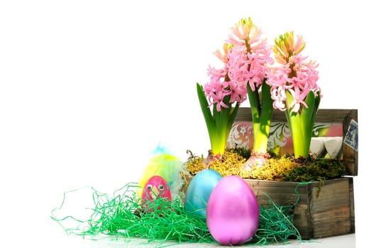 Easter hyacinths