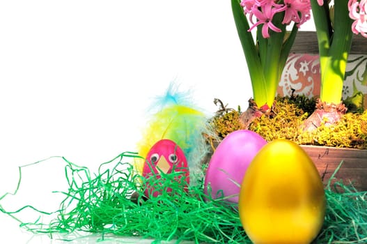 Easter hyacinths