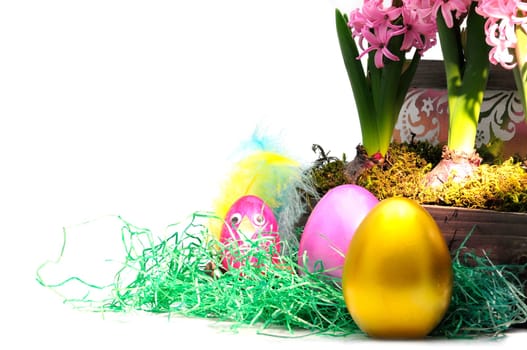 Easter hyacinths
