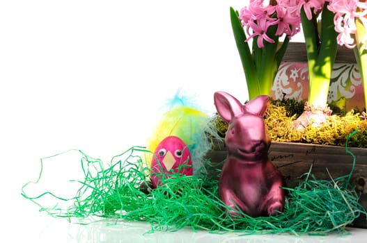 Easter hyacinths